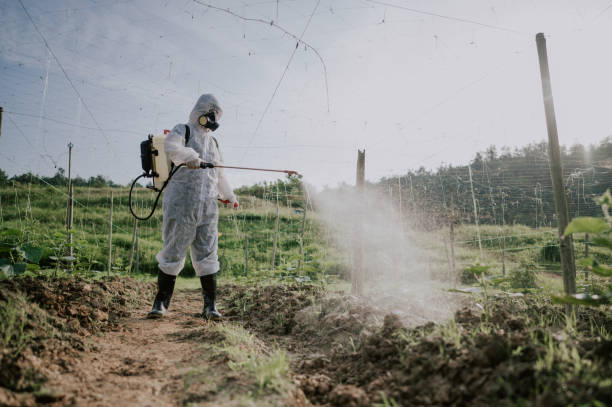 Best Pest Removal Services  in Toluca, IL