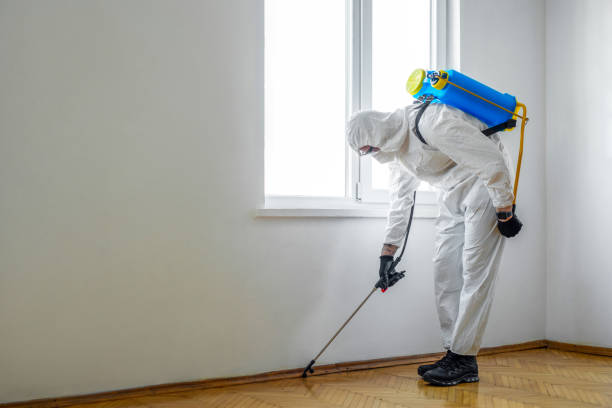 Best Affordable Exterminators  in Toluca, IL