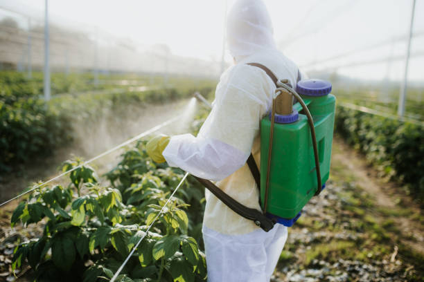 Best Pest Prevention Services  in Toluca, IL